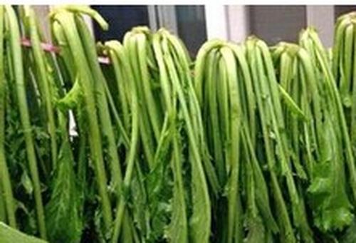 怎么腌雪里蕻 腌雪里蕻放多少盐