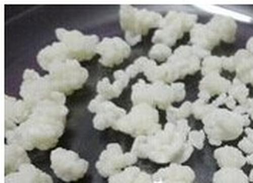 藏灵菇如何保存 藏灵菇保鲜方法技巧