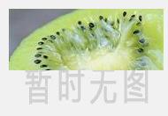 黑枸杞泡什么茶最好