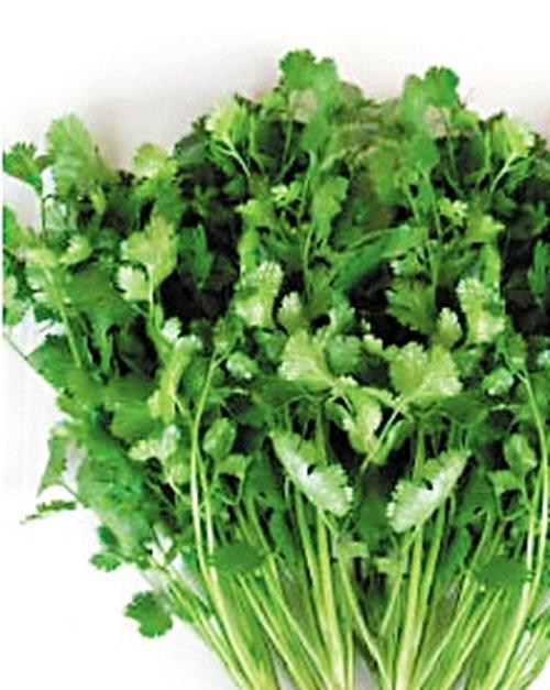 香菜的功效与作用及做法