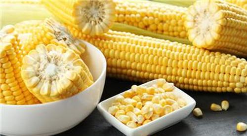 玉米煮熟要多久