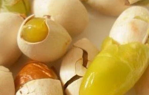 银杏果的食用方法 银杏果怎么吃
