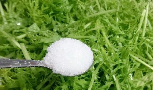 银丝菜的功效与作用及药用价值