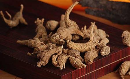 花旗参和西洋参的区别