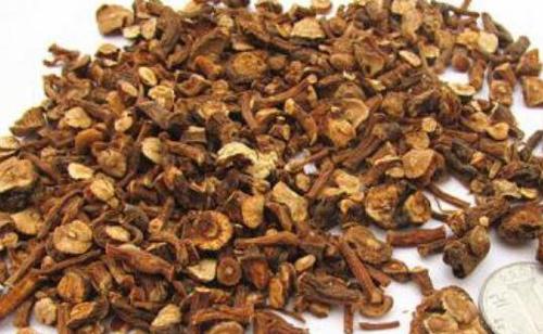 蒲公英根红茶的功效与作用 蒲公英根泡红茶的功效