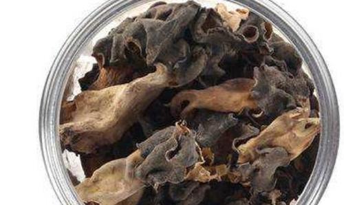 巴楚蘑菇的功效和作用 增强免疫力还能延缓衰老
