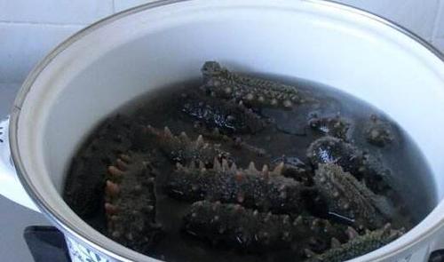 海参如何泡发 干海参泡发的正确方法