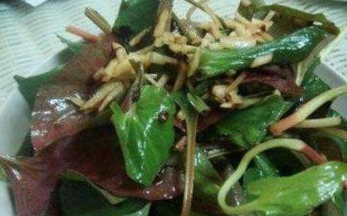 蕺菜怎么吃 蕺菜的食用方法