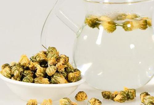 菊花能泡功夫茶吗 菊花茶怎么泡最好喝