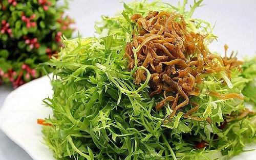 苦菊的功效与作用 苦菊的药用价值