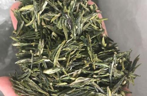 茅山青峰的功效与作用 茅山青峰好喝吗