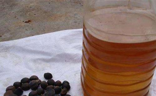 山茶油的功效与作用 山茶油对皮肤的作用
