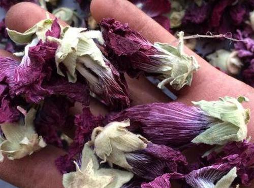 芙蓉花茶的功效与作用