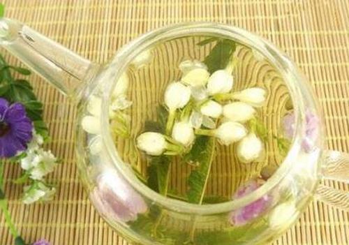 茉莉花茶的功效与作用 茉莉花茶的泡法