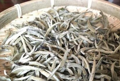 普洱白茶如何喝 普洱白茶的冲泡方法