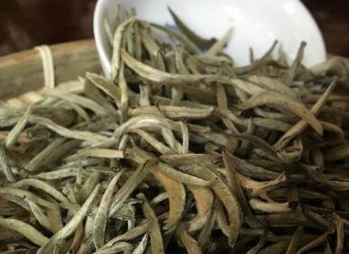 普洱白茶如何喝 普洱白茶的冲泡方法