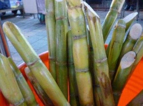 青皮甘蔗的功效与作用