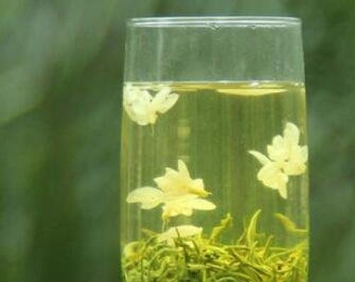 茉莉花茶如何喝 茉莉花茶的泡法