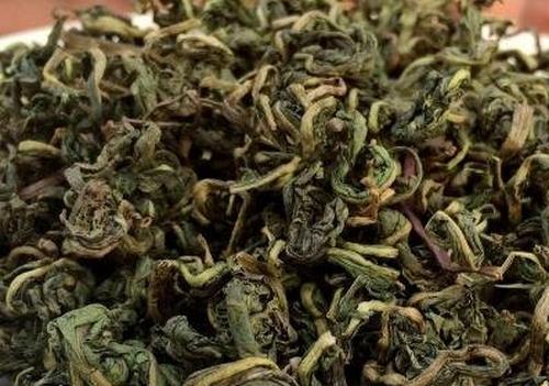 蒲公英茶的功效与作用及禁忌