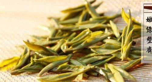 霍山黄芽与黄大茶有什么区别