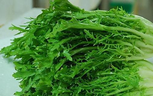 九牙生菜的功效与作用 吃九牙生菜的好处有哪些