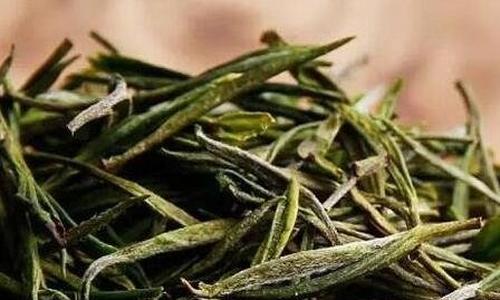 怎样鉴定君山银针茶的真假