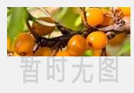 夏天喝什么茶去火 适合夏天喝的茶有哪些