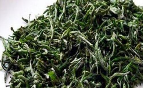 绿茶如何选购 如何选择好的绿茶