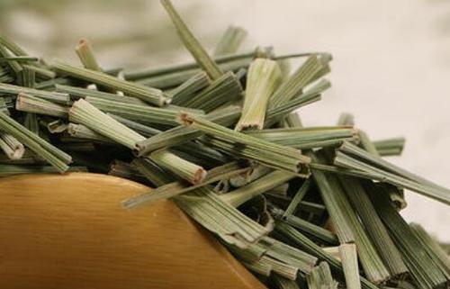 香茅草茶的功效与作用 香茅草茶的禁忌