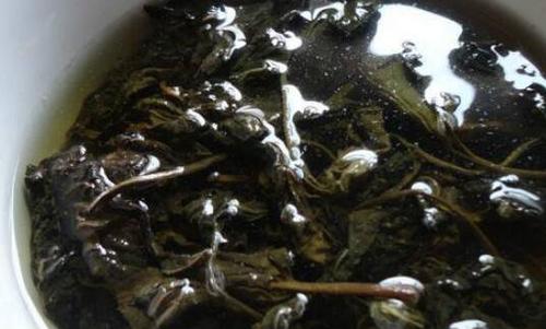 芝麻叶泡水的功效与作用