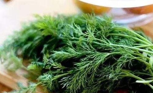 茴香苗的功效与作用 吃茴香苗的好处