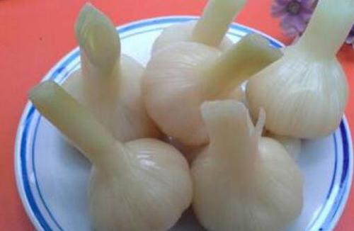蒜头怎么腌制好吃 蒜头的腌制方法