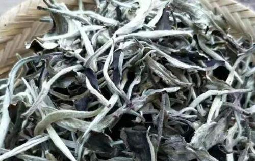 月光美人茶是什么茶 月光美人茶的泡法