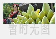 白茶的种类和功效