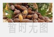 茉莉花茶都有什么功效