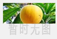 玫瑰花茶的功效与作用 玫瑰花茶的副作用