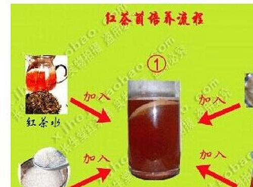 红茶菌的制作方法步骤