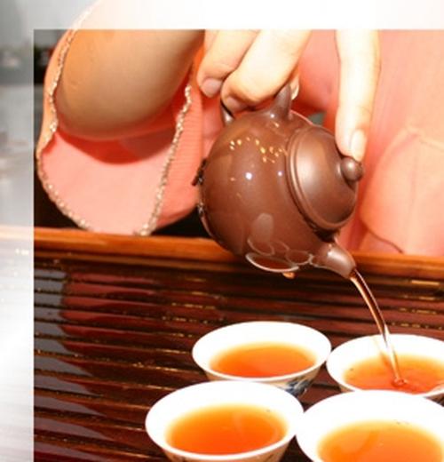 普洱茶的泡法步骤