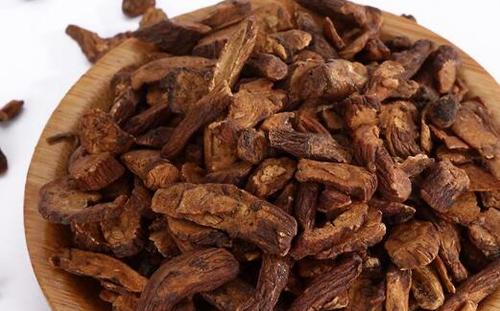 蒲公英根茶的功效与作用有哪些