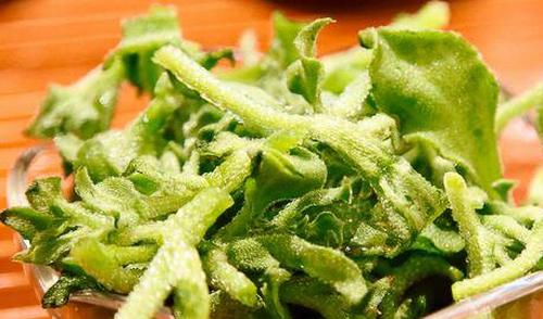 冰菜图片 冰菜的功效与作用