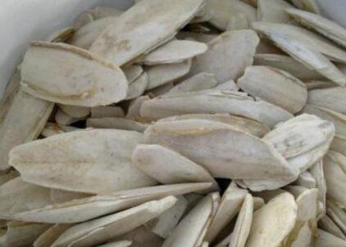 中药鱼古的功效与作用