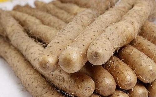 山药有哪些功效与作用