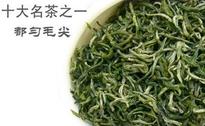 都匀毛尖茶