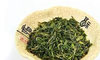 崂山绿茶特点