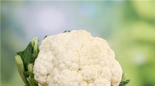 散菜花怎么做好吃