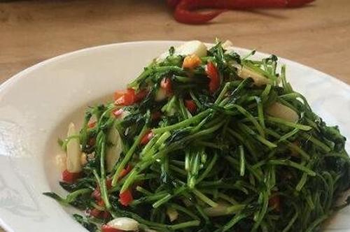 豌豆苗如何吃 豌豆苗的食用方法