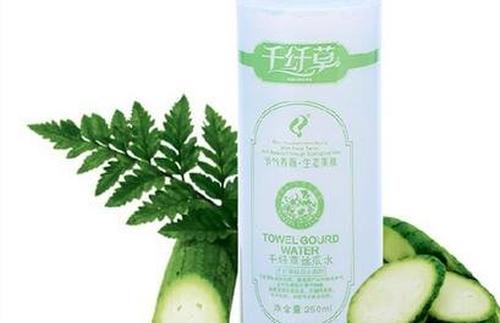 鲜丝瓜水的功效与作用