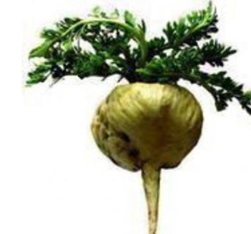 玛卡干果如何吃 玛卡干果的食用方法