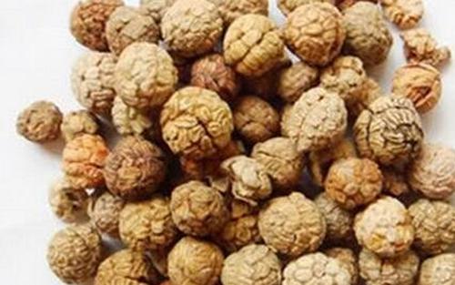 豆蔻的功效与作用及食用方法