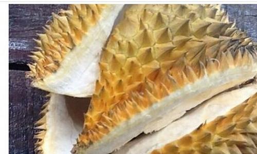 榴莲壳的营养价值有哪些 吃榴莲壳的好处